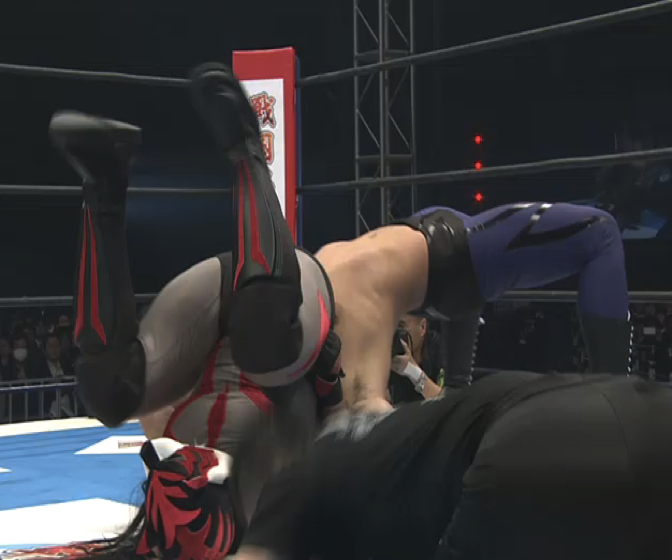 170104 tokyodome tiger8