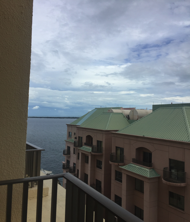 170820_seburyoko1_24.jpg 170820 seburyoko1 24