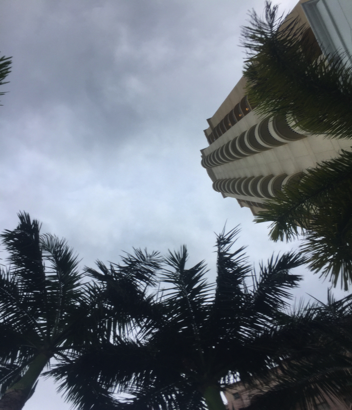 170820_seburyoko1_2_6.jpg 170820 seburyoko1 2 6