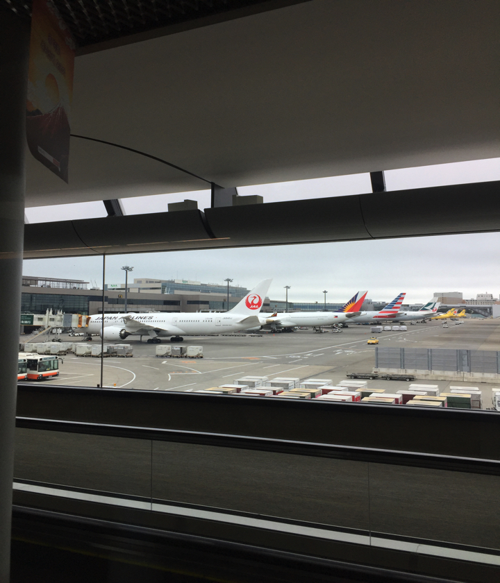 170820_seburyoko1_5.jpg 170820 seburyoko1 5