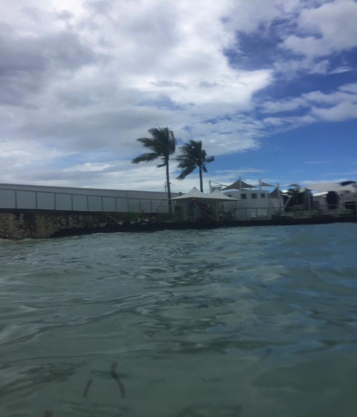 170821_ceburyoko2_23.jpg 170821 ceburyoko2 23